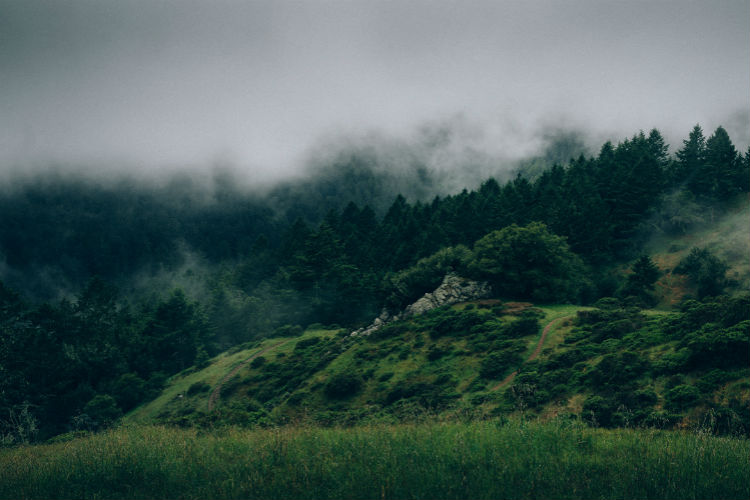 【iPhone苹果版】官方认证的手机号自动轰炸